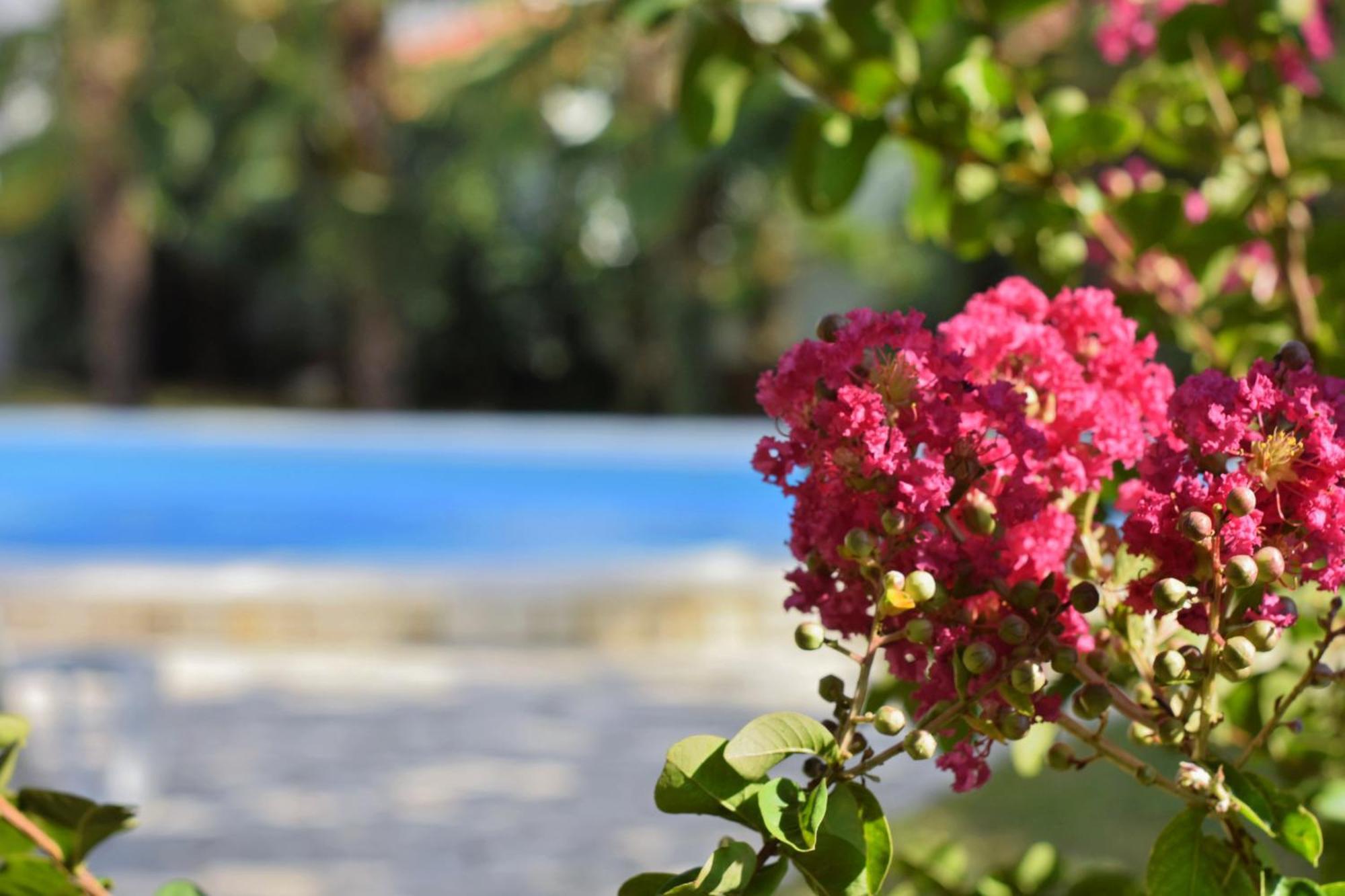 Marinela Apartment
